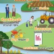 ชีวิตชาวนาเช่า ชีวิตเสี่ยง เปราะบาง (Infographic)