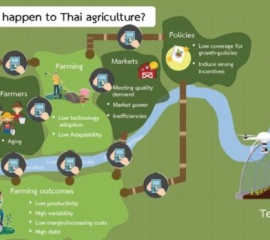 “เกิดอะไรขึ้นกับภาคเกษตรไทย จะพลิกโฉมอย่างไรสู่การพัฒนาที่ยั่งยืน?” งานวิจัยเจาะลึกจากธปท.