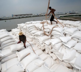 ส่งออกข้าวไทยต่ำสุดรอบ 10 ปี จี้รัฐส่ง “พันธุ์ข้าวขาวพื้นนุ่ม” สู้ตลาดโลก