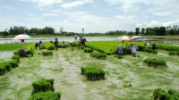 ‘สมชาย’ ปลื้ม ปี 2561 กลุ่มเกษตรกรผนึกกำลังยื่นขอสมัคร ร่วมโครงการส่งเสริมการเกษตรแบบแปลงใหญ่กว่า 3 พันแปลงเกินเป้า