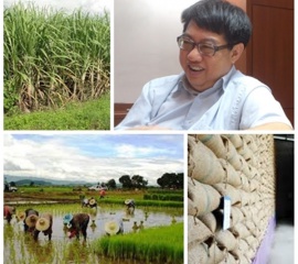 ทีดีอาร์ไอผ่าทางตันปัญหาเกษตรกรไทย