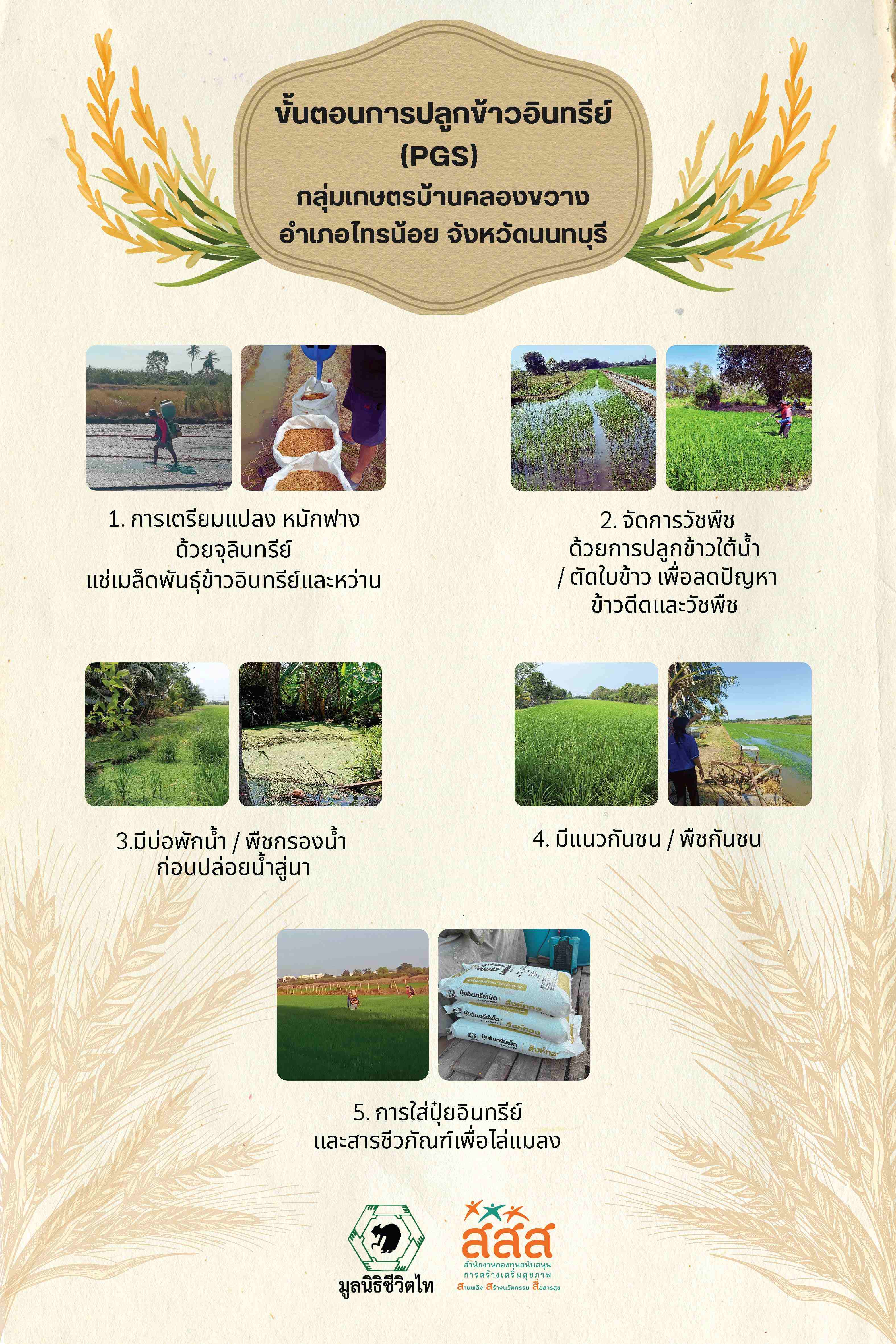 01PGSRiceFarmingNonthaburi