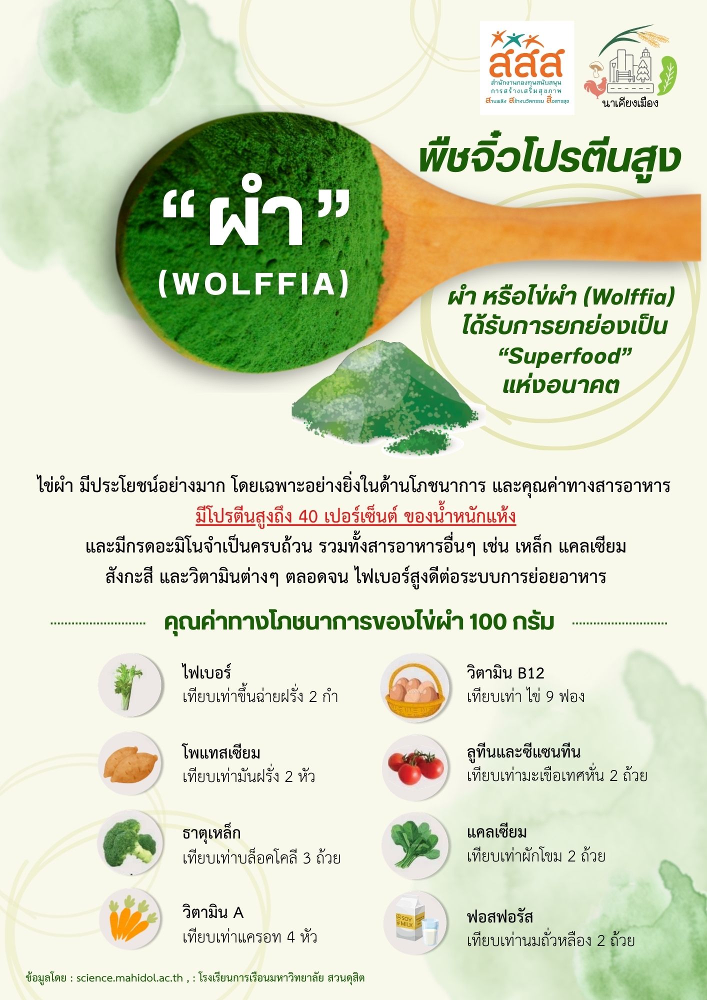 05Wolffia
