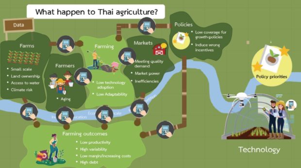 WhathappentoThaiAgriculture