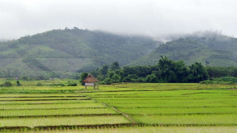 mekong