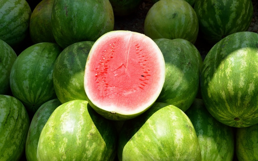 watermelon